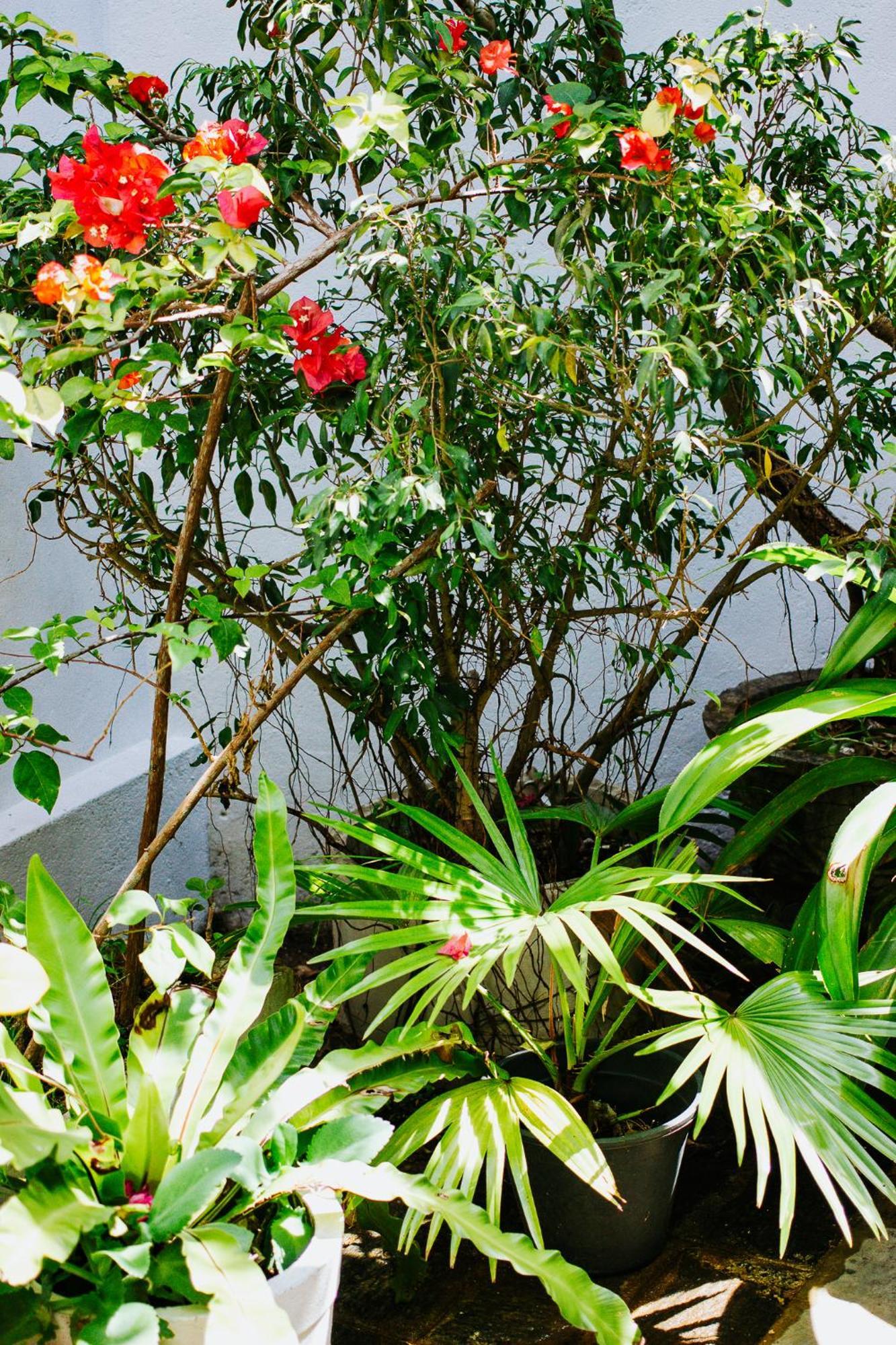 Kaya Residence Kandy Exterior foto