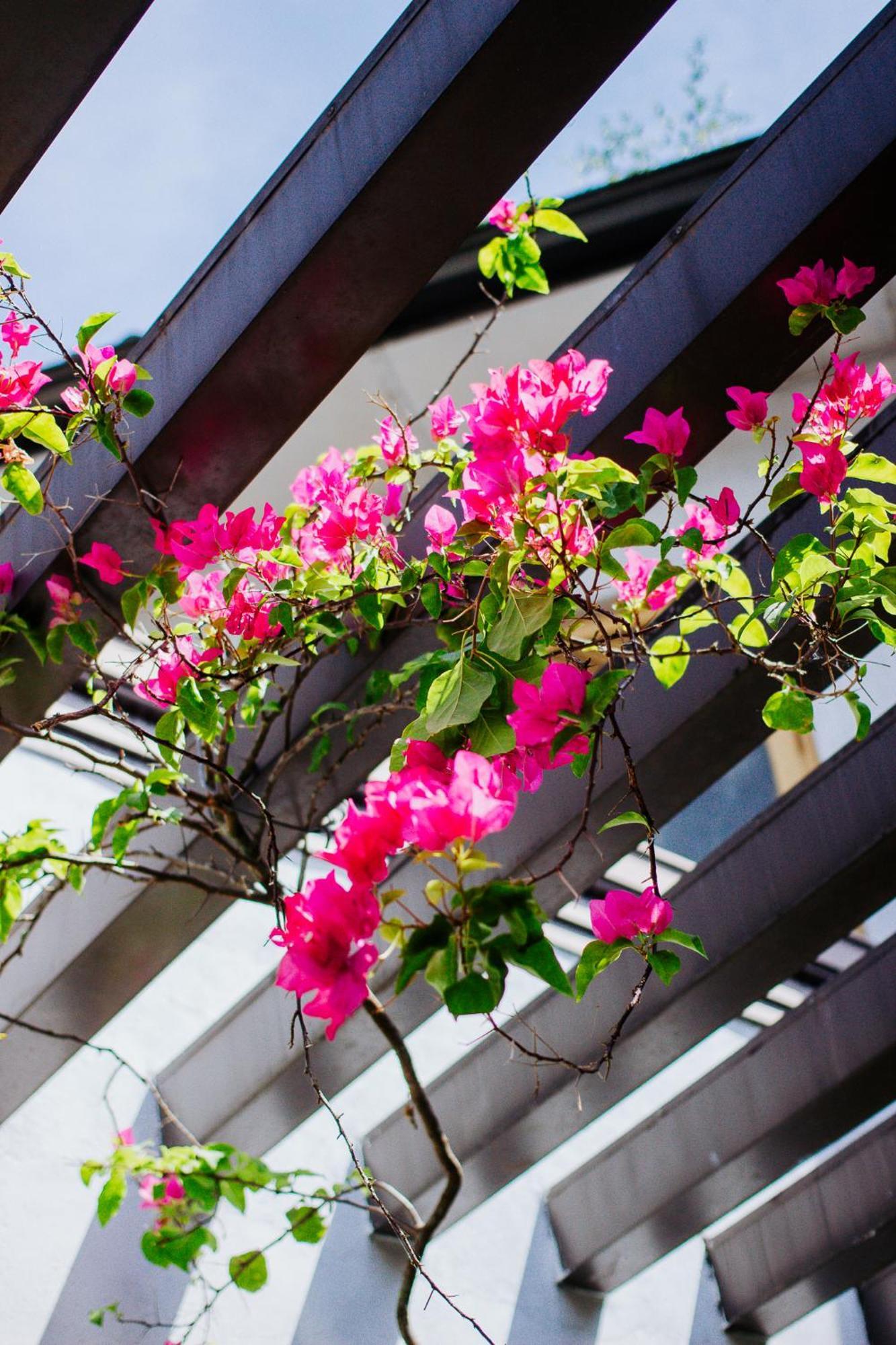 Kaya Residence Kandy Exterior foto
